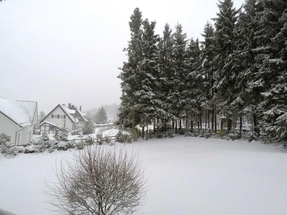 Fewo Kaeppchen Winterberg Exteriér fotografie